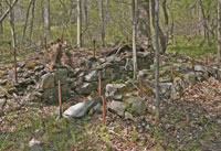 Dodge Mine